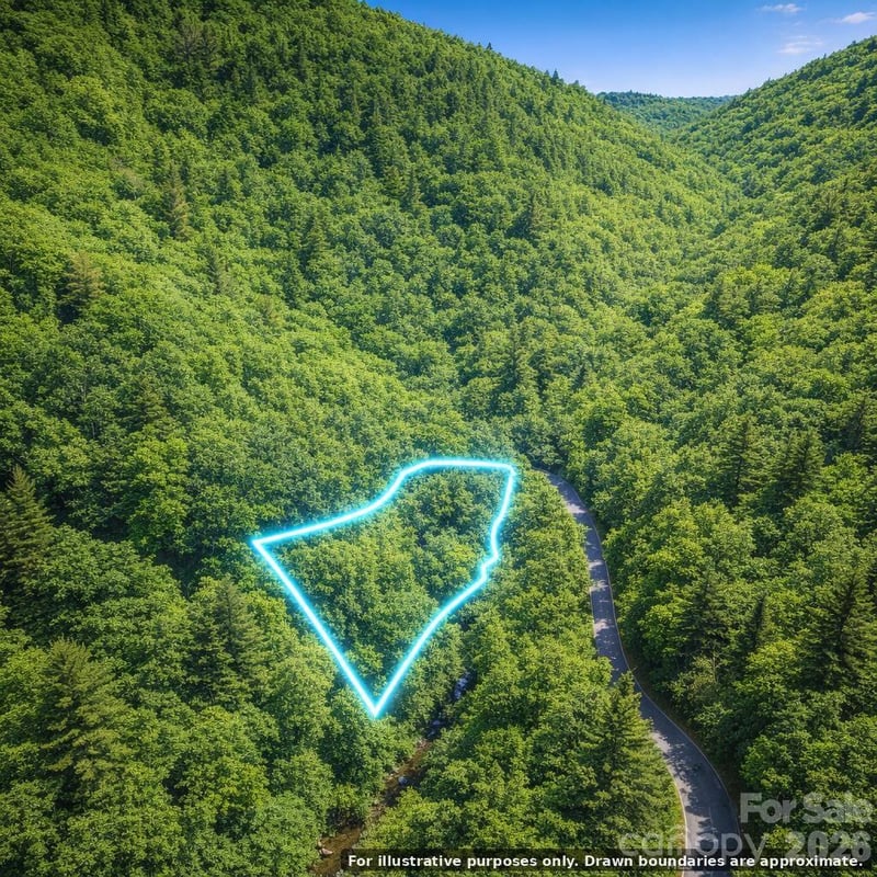 0000 Rainbow Trout Dr, Burnsville, NC 28714