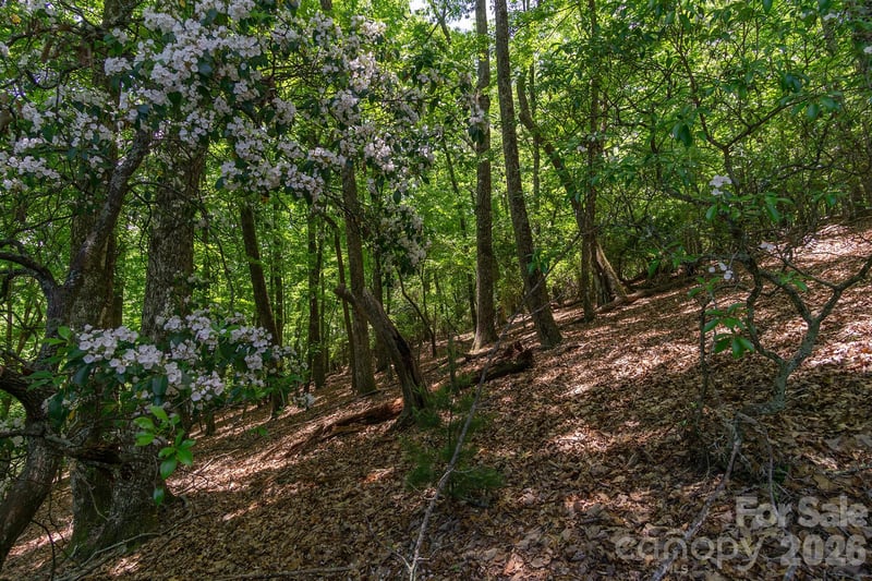 lot 53R Mills River Way Lot 53R, Horse Shoe, NC 28742