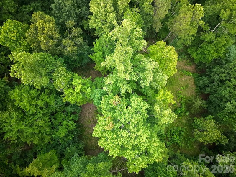 120 Ben Lippen School Rd, Asheville, NC 28806