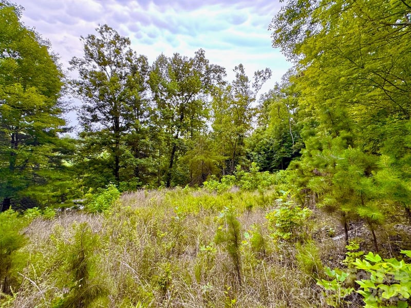 120 Ben Lippen School Rd, Asheville, NC 28806