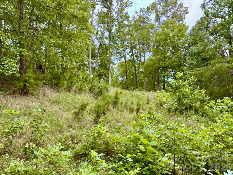 120 Ben Lippen School Rd, Asheville, NC 28806