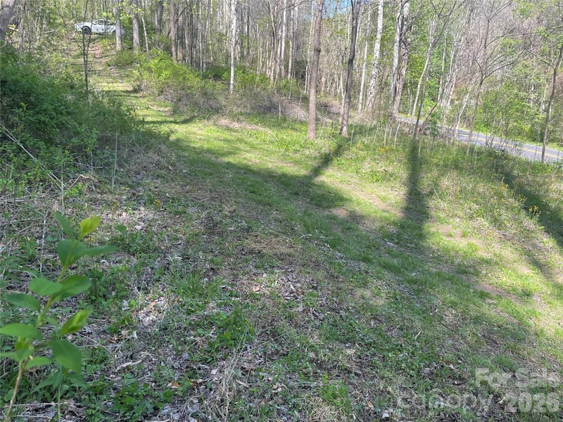 99999 Martins Creek Rd, Barnardsville, NC 28709