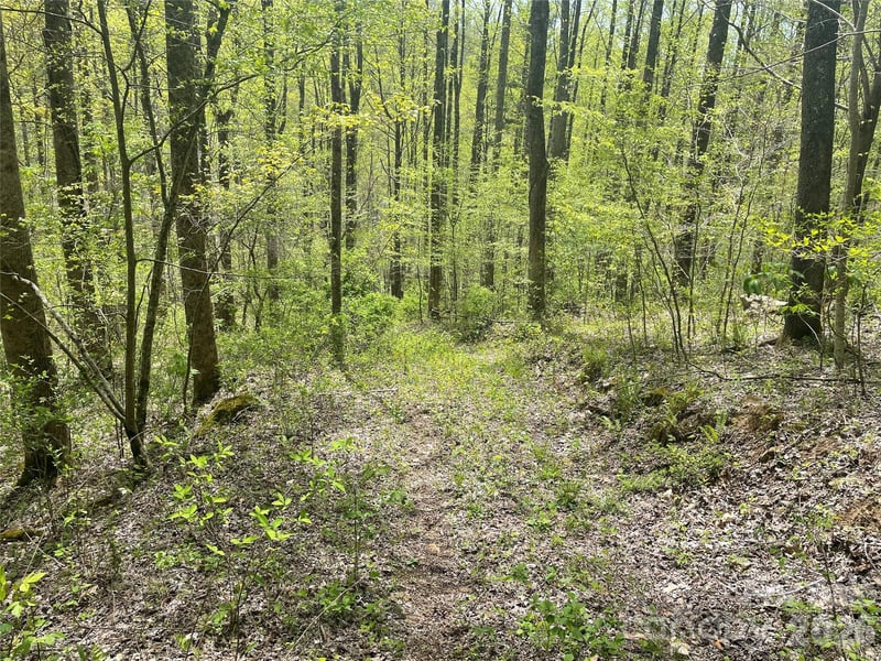 99999 Martins Creek Rd, Barnardsville, NC 28709