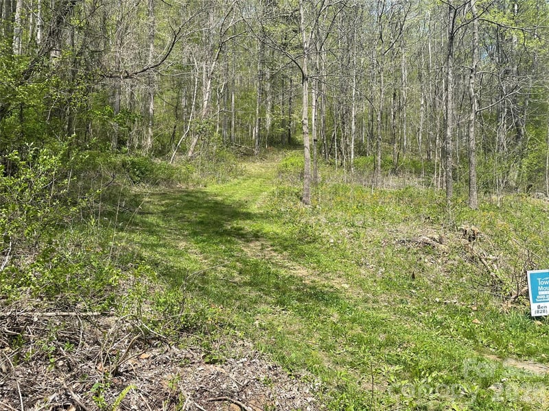 99999 Martins Creek Rd, Barnardsville, NC 28709