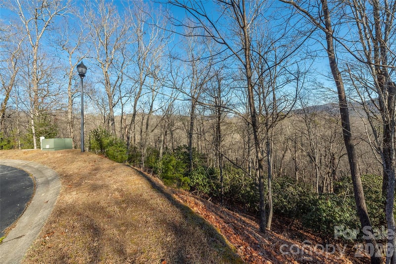 80 Buckhead Trl #27, Horse Shoe, NC 28742