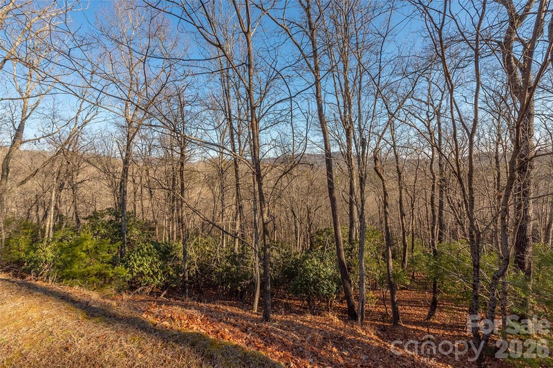 80 Buckhead Trl #27, Horse Shoe, NC 28742