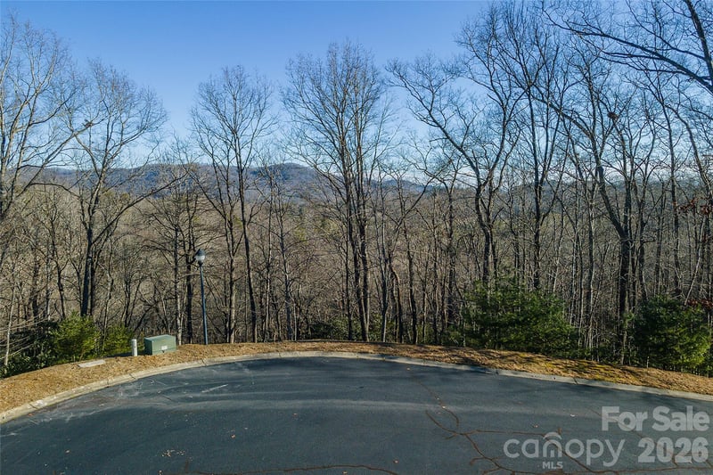 80 Buckhead Trl #27, Horse Shoe, NC 28742