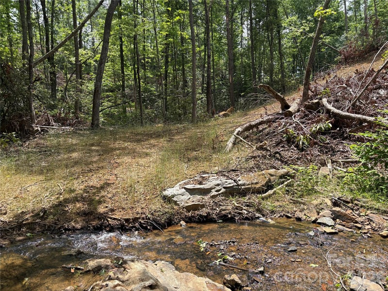 TBD Early Rd, Saluda, NC 28773