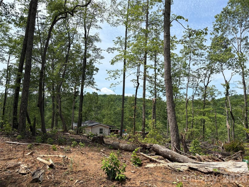 TBD Early Rd, Saluda, NC 28773