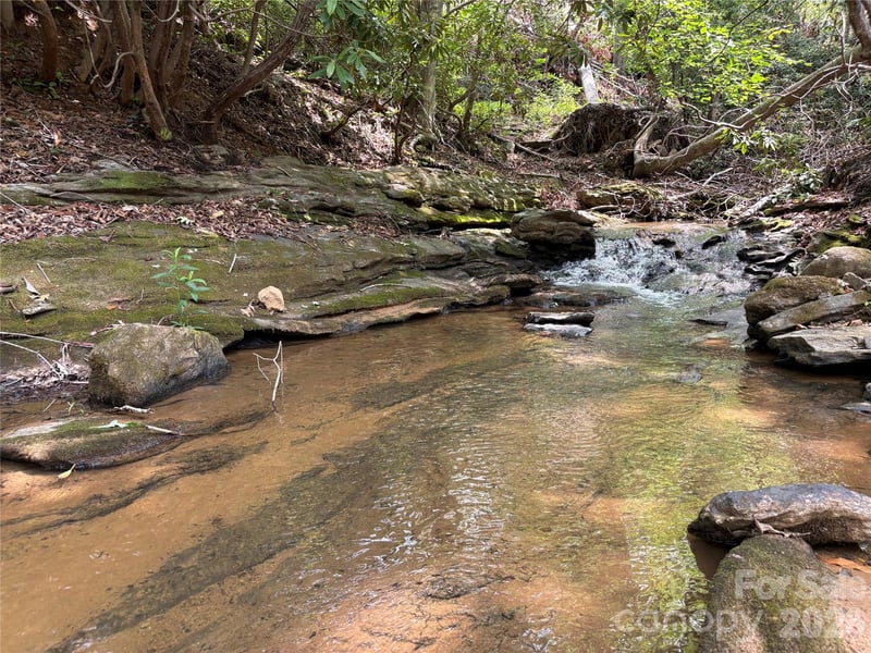 TBD Early Rd, Saluda, NC 28773