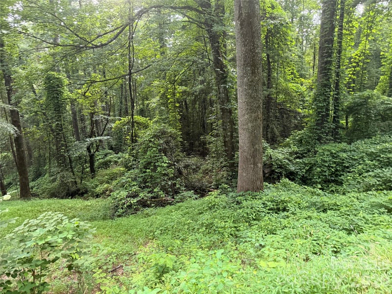 1359 Lamb Mountain Rd, Hendersonville, NC 28792