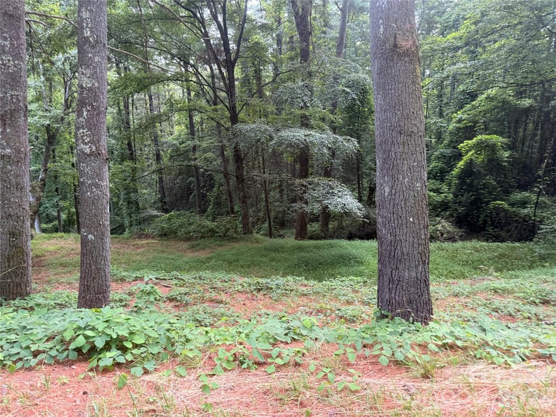 1359 Lamb Mountain Rd, Hendersonville, NC 28792