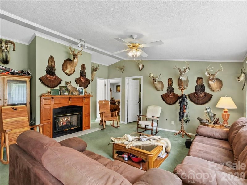 98 Cardinal Ln, Burnsville, NC 28714