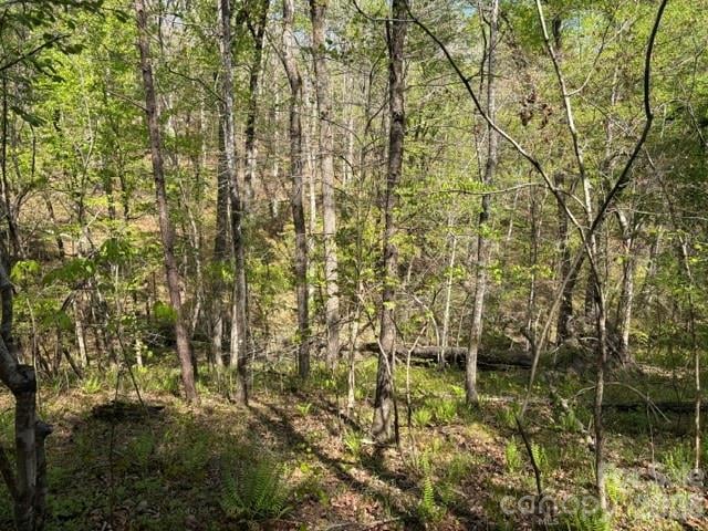 21 AC Sweet Hope Church Rd, Carlisle, SC 29031