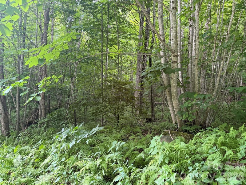 64A Jonathan Trl, Maggie Valley, NC 28751