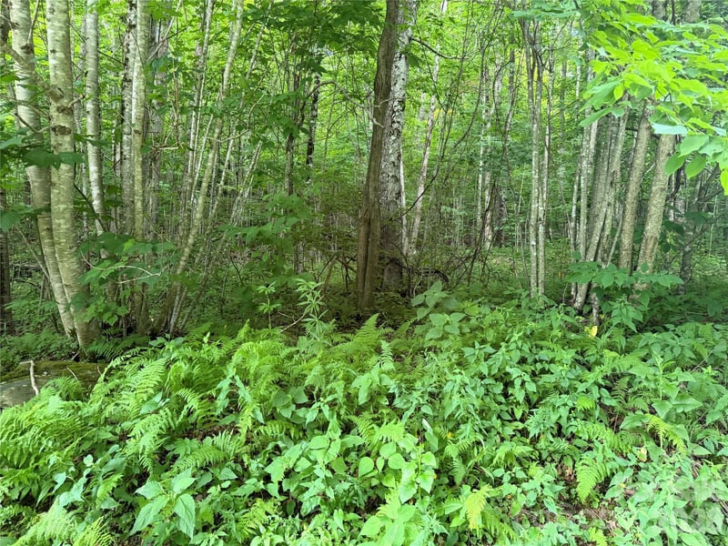 64A Jonathan Trl, Maggie Valley, NC 28751