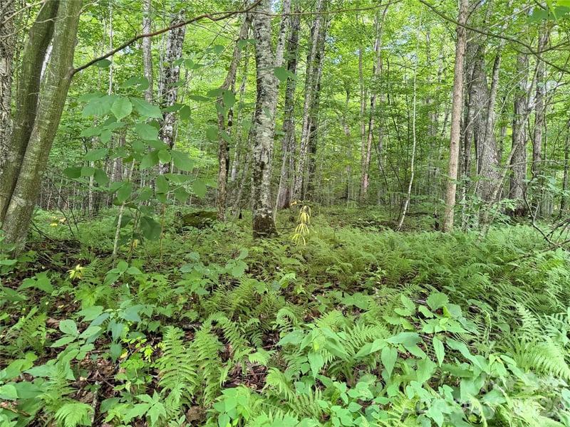 64A Jonathan Trl, Maggie Valley, NC 28751