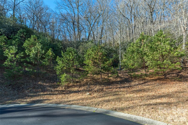9999 Mayfly Ln #106, Horse Shoe, NC 28742