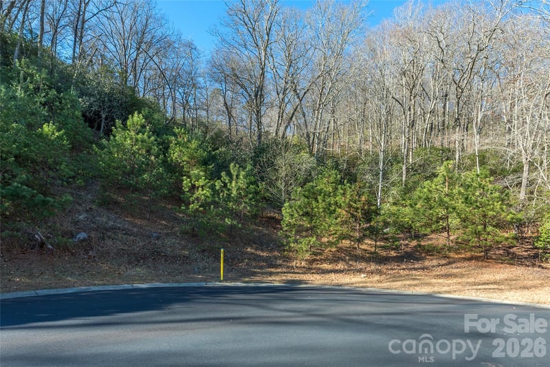 9999 Mayfly Ln #106, Horse Shoe, NC 28742