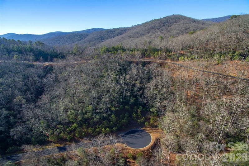 9999 Mayfly Ln #106, Horse Shoe, NC 28742