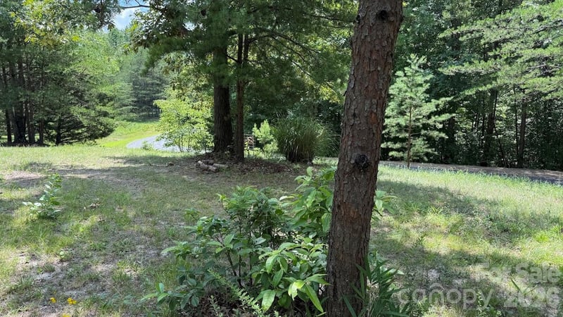 00 Fallen Tree Ln #19, Mill Spring, NC 28756