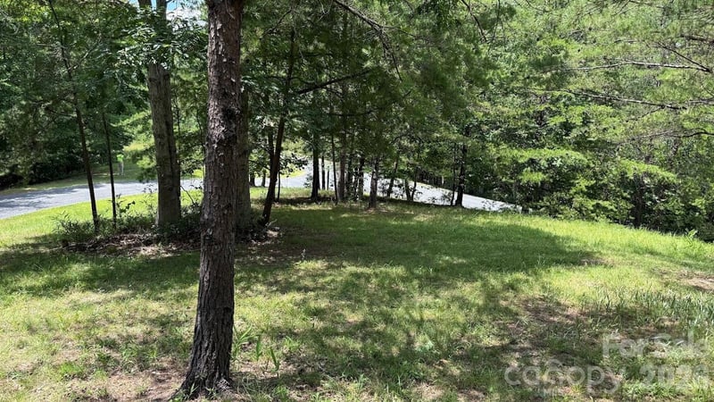 00 Fallen Tree Ln #19, Mill Spring, NC 28756