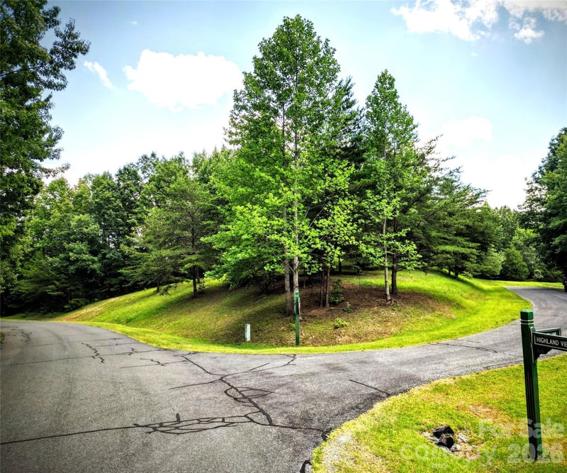 00 Fallen Tree Ln #19, Mill Spring, NC 28756