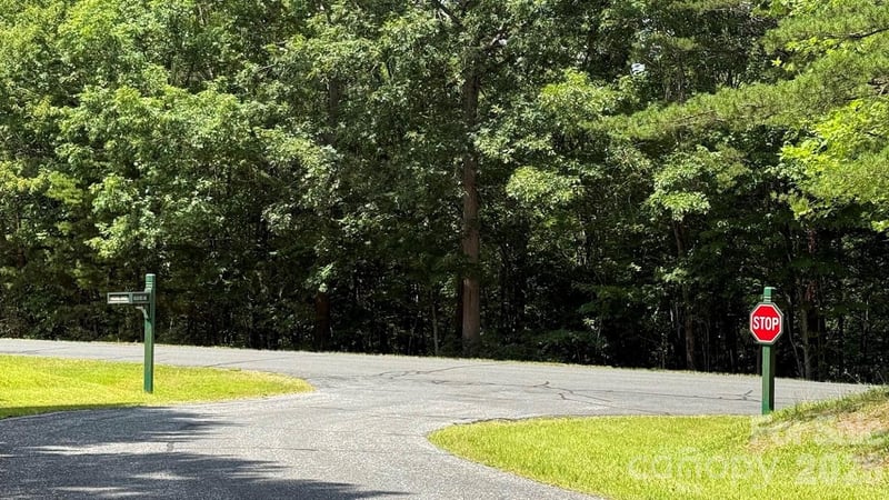 00 Fallen Tree Ln #19, Mill Spring, NC 28756