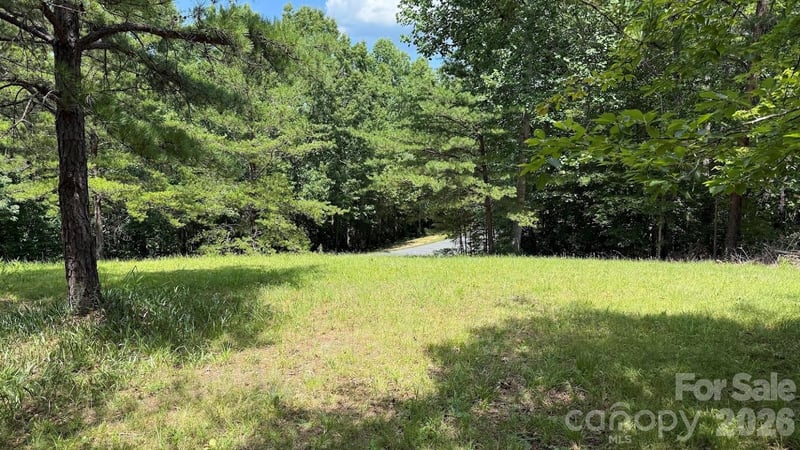 00 Fallen Tree Ln #19, Mill Spring, NC 28756