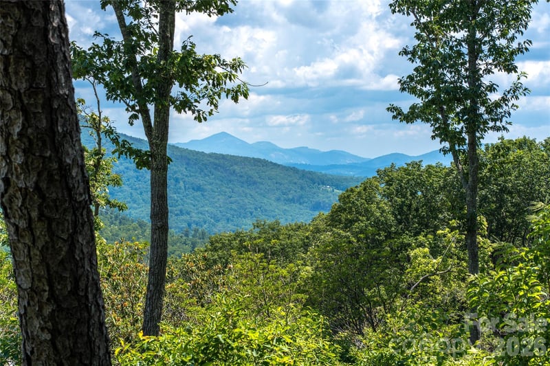 99999 Garden Trl #46, Fletcher, NC 28732