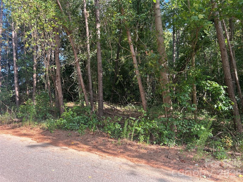 00 Knottywood Ln #26, Vale, NC 28168