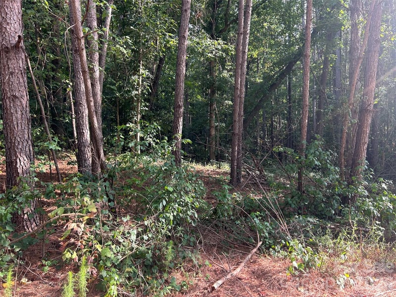 00 Knottywood Ln #26, Vale, NC 28168