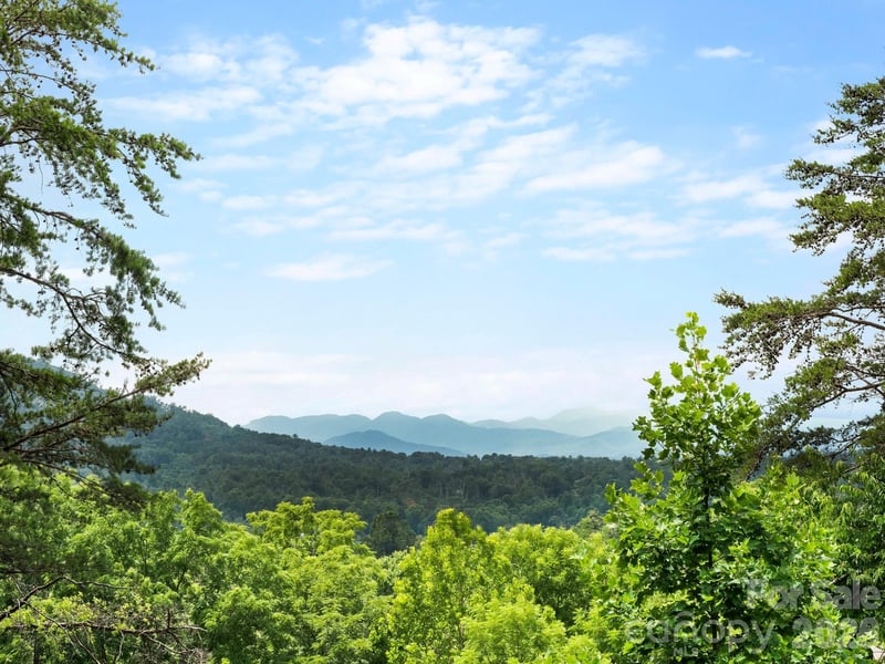 333 Herron Point Ln, Weaverville, NC 28787