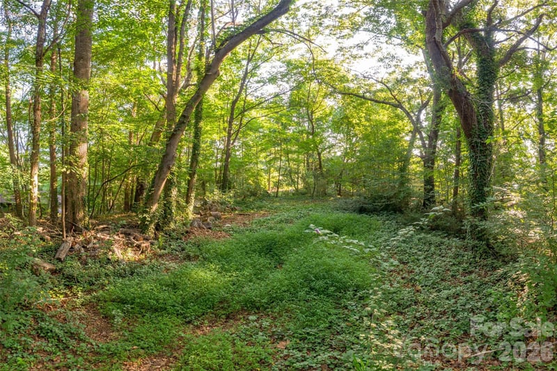 174 Laurel Ln, Lake Lure, NC 28746