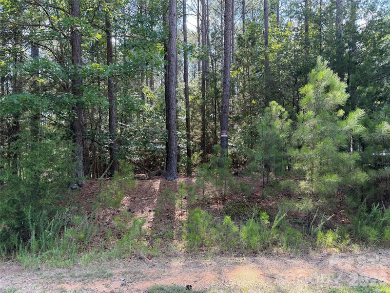 9212 Rustic Creek Trl, Waxhaw, NC 28173