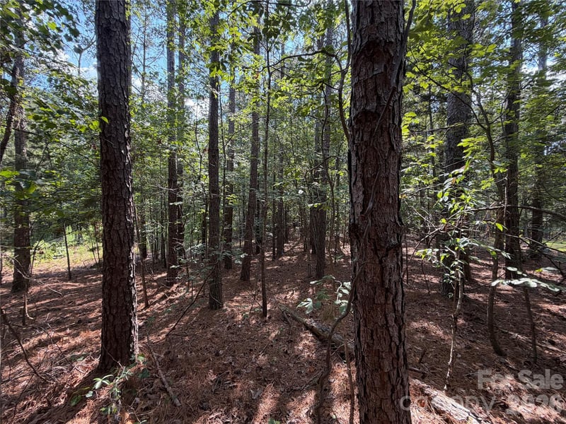 9212 Rustic Creek Trl, Waxhaw, NC 28173