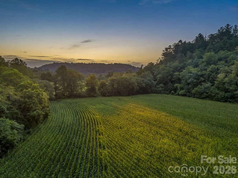 7513 Boylston Hw, Mills River, NC 28759