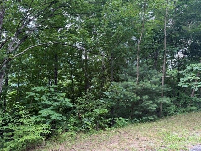 12 Silverstone Dr, Hendersonville, NC 28792