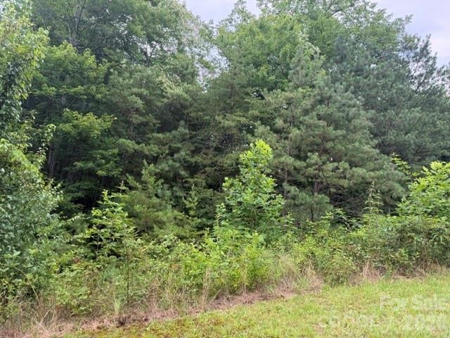 12 Silverstone Dr, Hendersonville, NC 28792