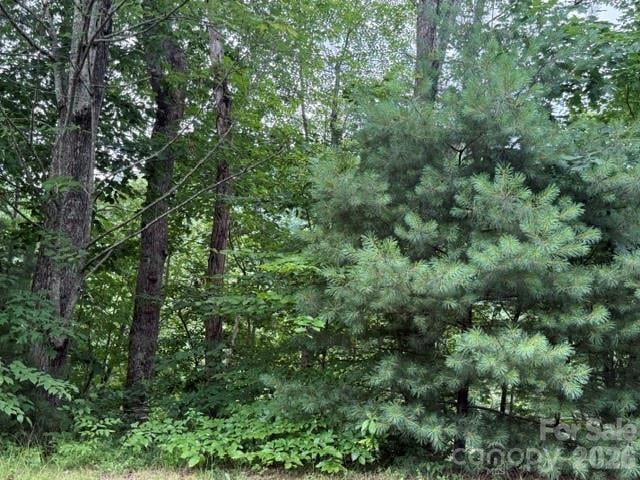 12 Silverstone Dr, Hendersonville, NC 28792