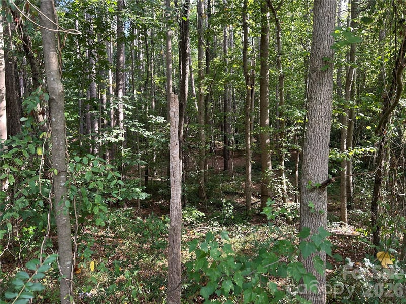 00 Knottywood Ln #25, Vale, NC 28168