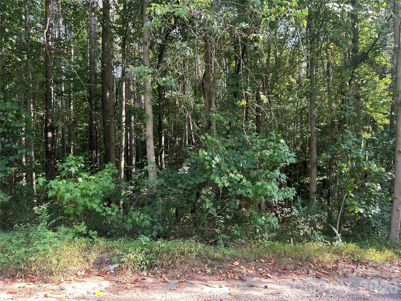 00 Knottywood Ln #25, Vale, NC 28168