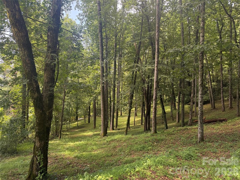 89 Split Rock Trl #56, Arden, NC 28704