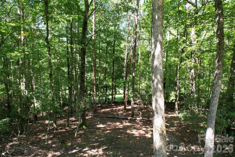 1545 Country View Way #302, Arden, NC 28704
