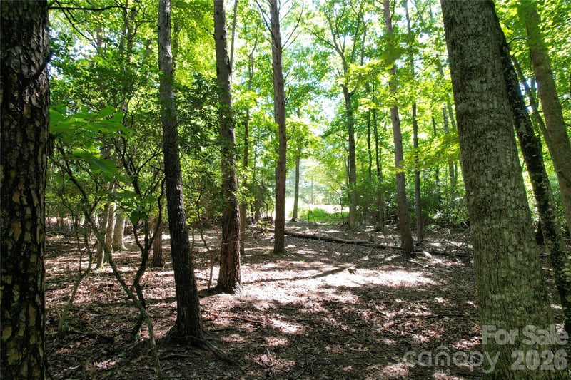 1545 Country View Way #302, Arden, NC 28704