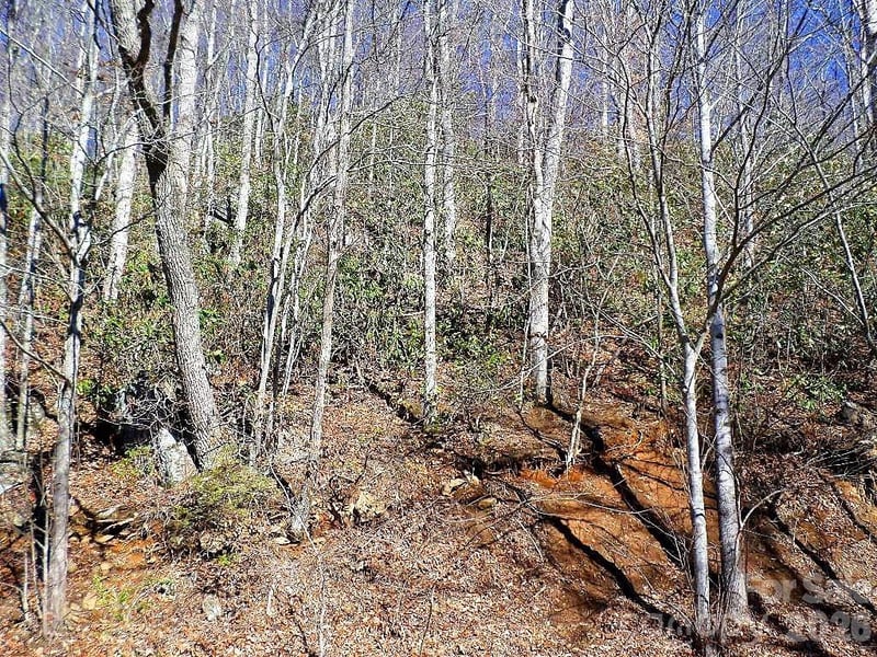 350 Mountain View Dr, Maggie Valley, NC 28751