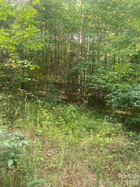 - Red Yam Farm Rd, Dallas, NC 28034