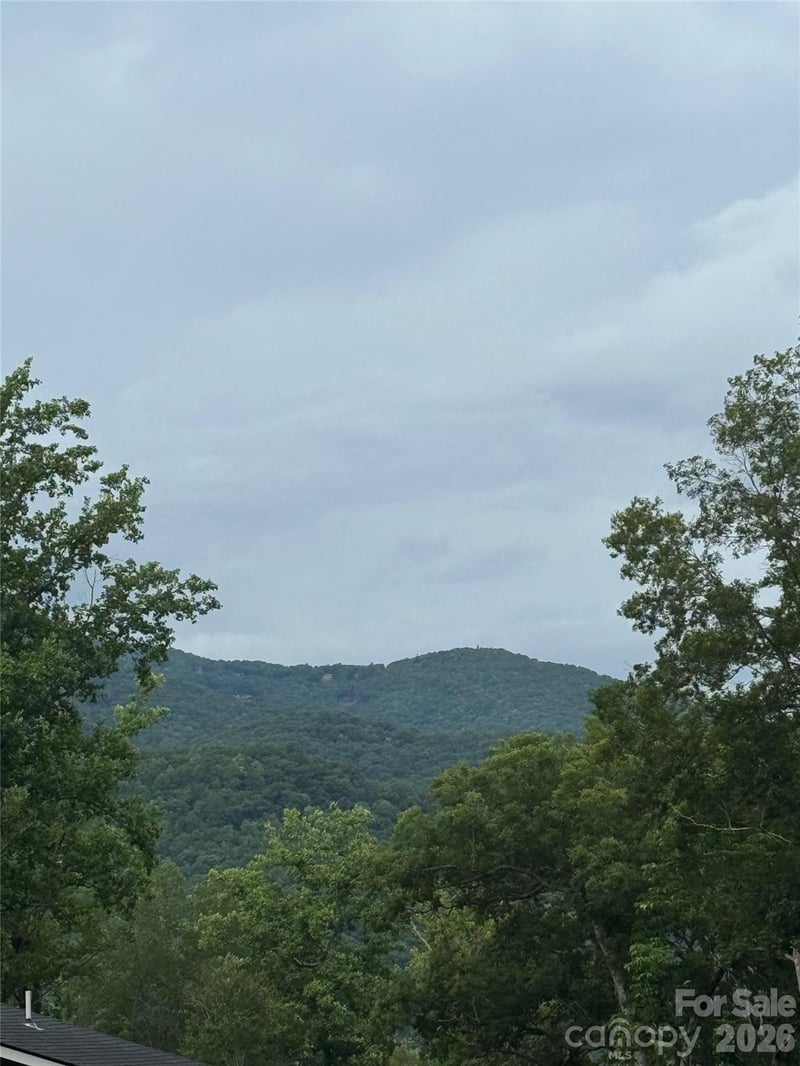 000 Twinbrook Ln #59, Maggie Valley, NC 28751