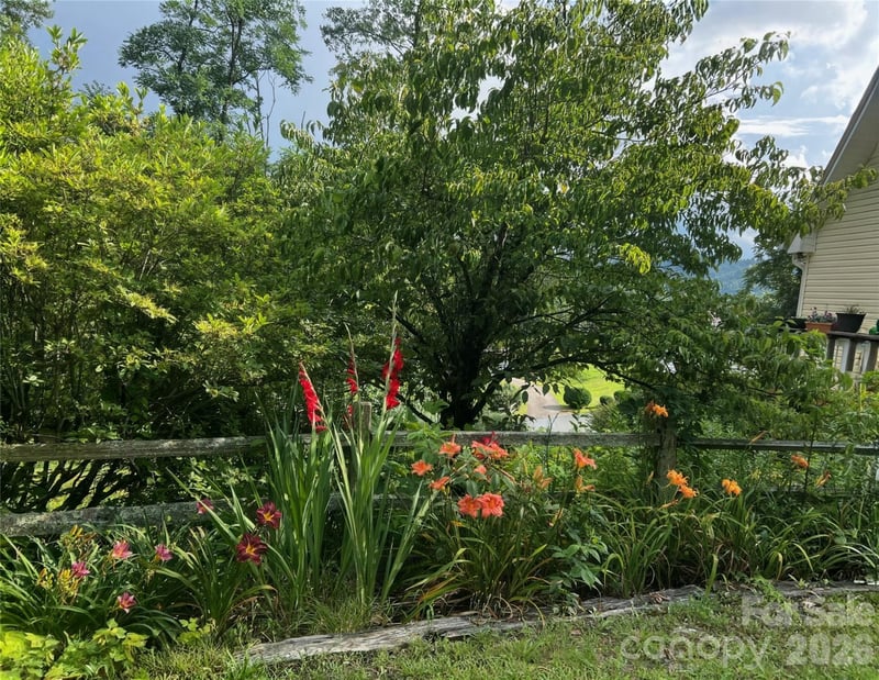 530 West Side Rd, Burnsville, NC 28714