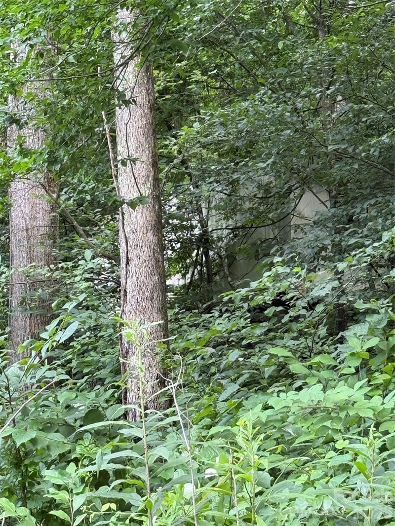 99999 Paint Fork Rd, Barnardsville, NC 28709